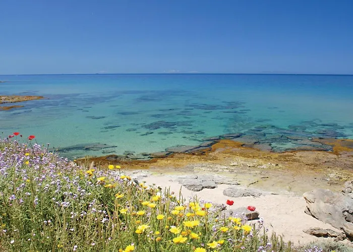 Апартаменты Beautiful In Costa Rei -ca-
